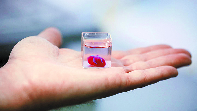 이스라엘 연구진이 3D(입체) 프린터를 이용해 만든 미니 심장을 들어 보이고 있습니다. AFP 연합뉴스